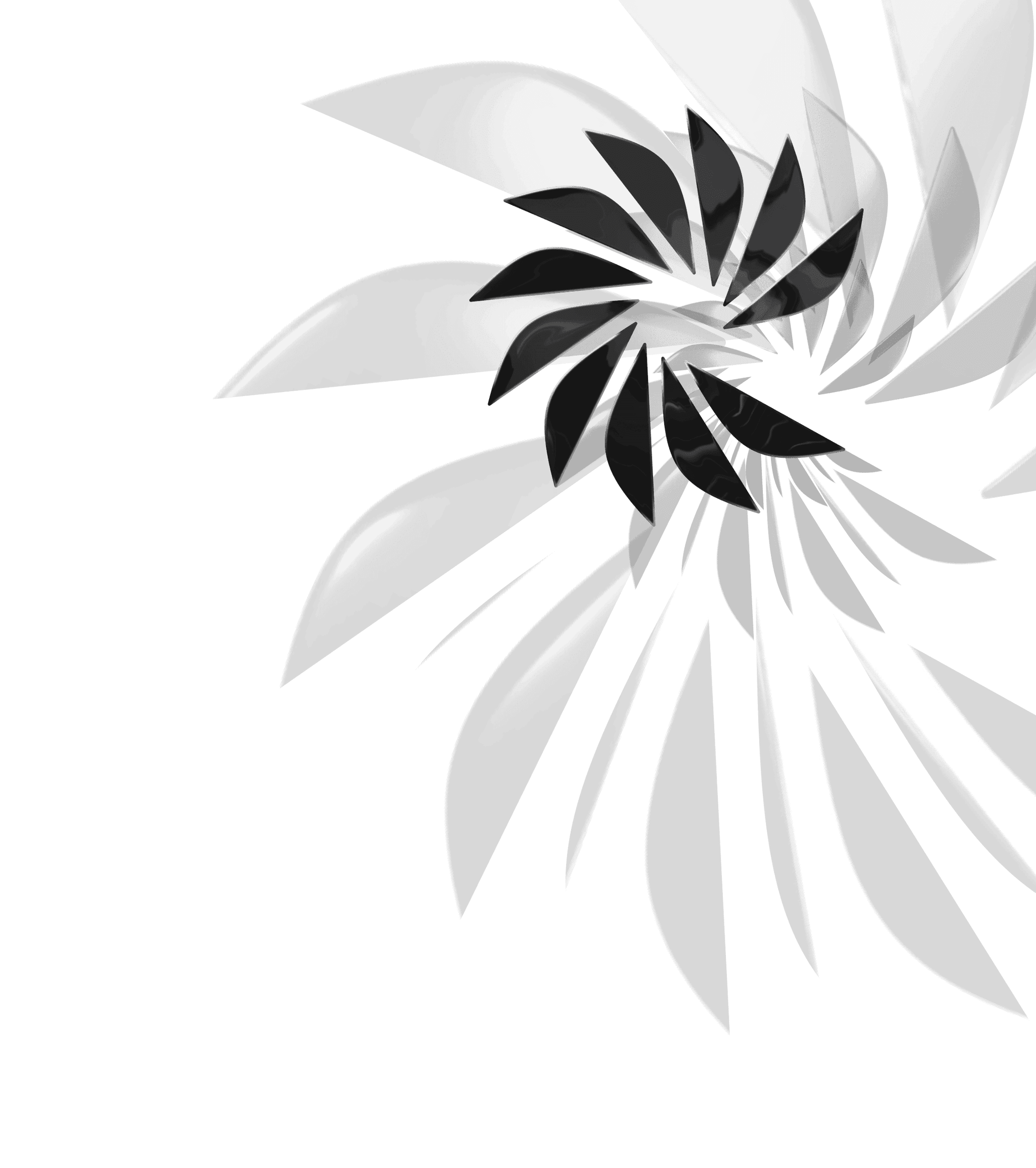 What's new vector