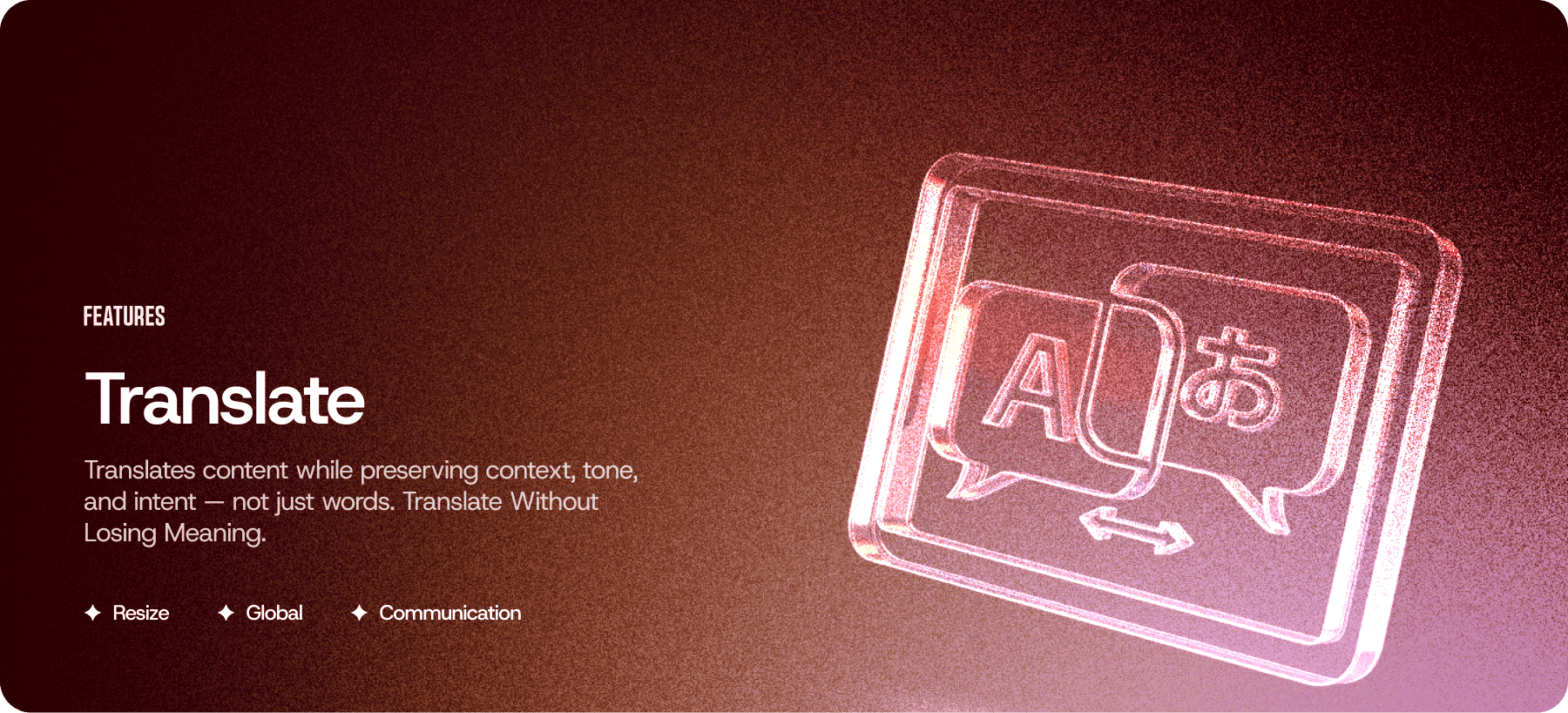 Translate Without Losing Meaning